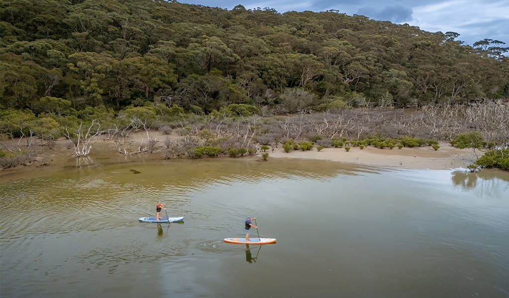 Bonnie Vale foreshore and campground