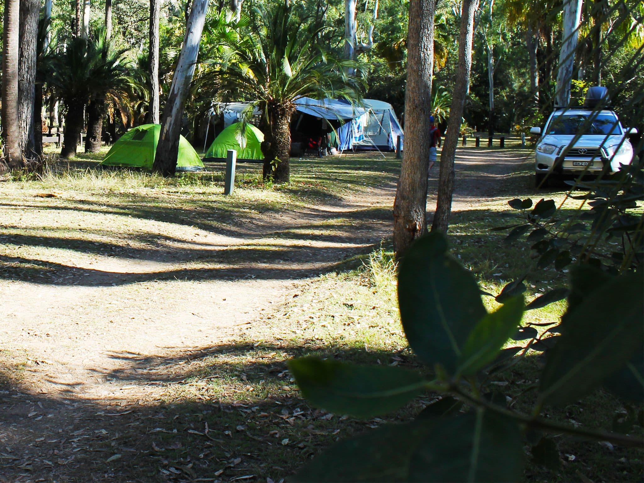 Campsites near the Carnarvon Gorge visitor area