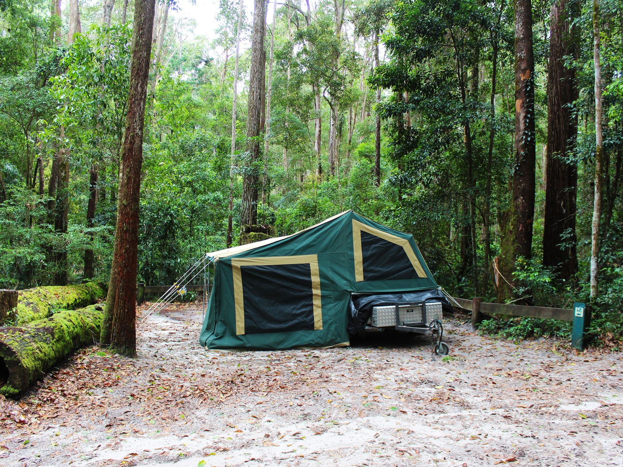 Rainforest campsites at Central Station on K’gari