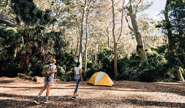 Campsites at Depot Beach Campground