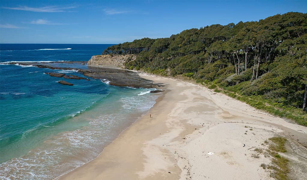 Beach and bush setting at Depot Beach Campground
