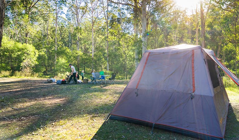 Euroka Campground in Blue Mountains National Park