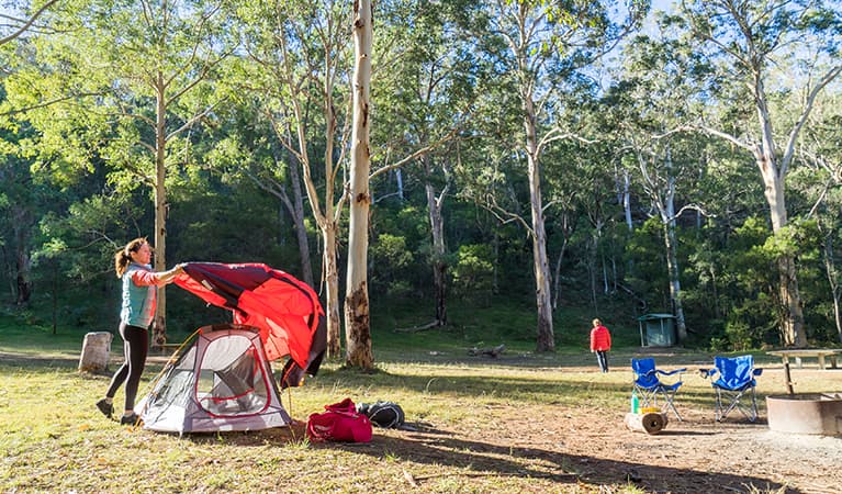 Grassy campsite at Euroka