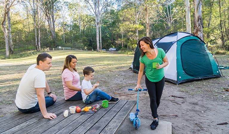Bushland surrounding Euroka Campground