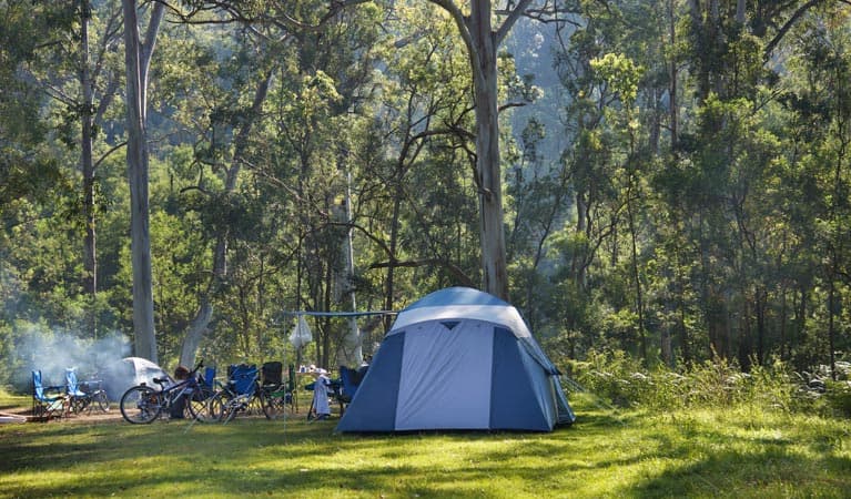 Redgum camping area at Euroka Campground
