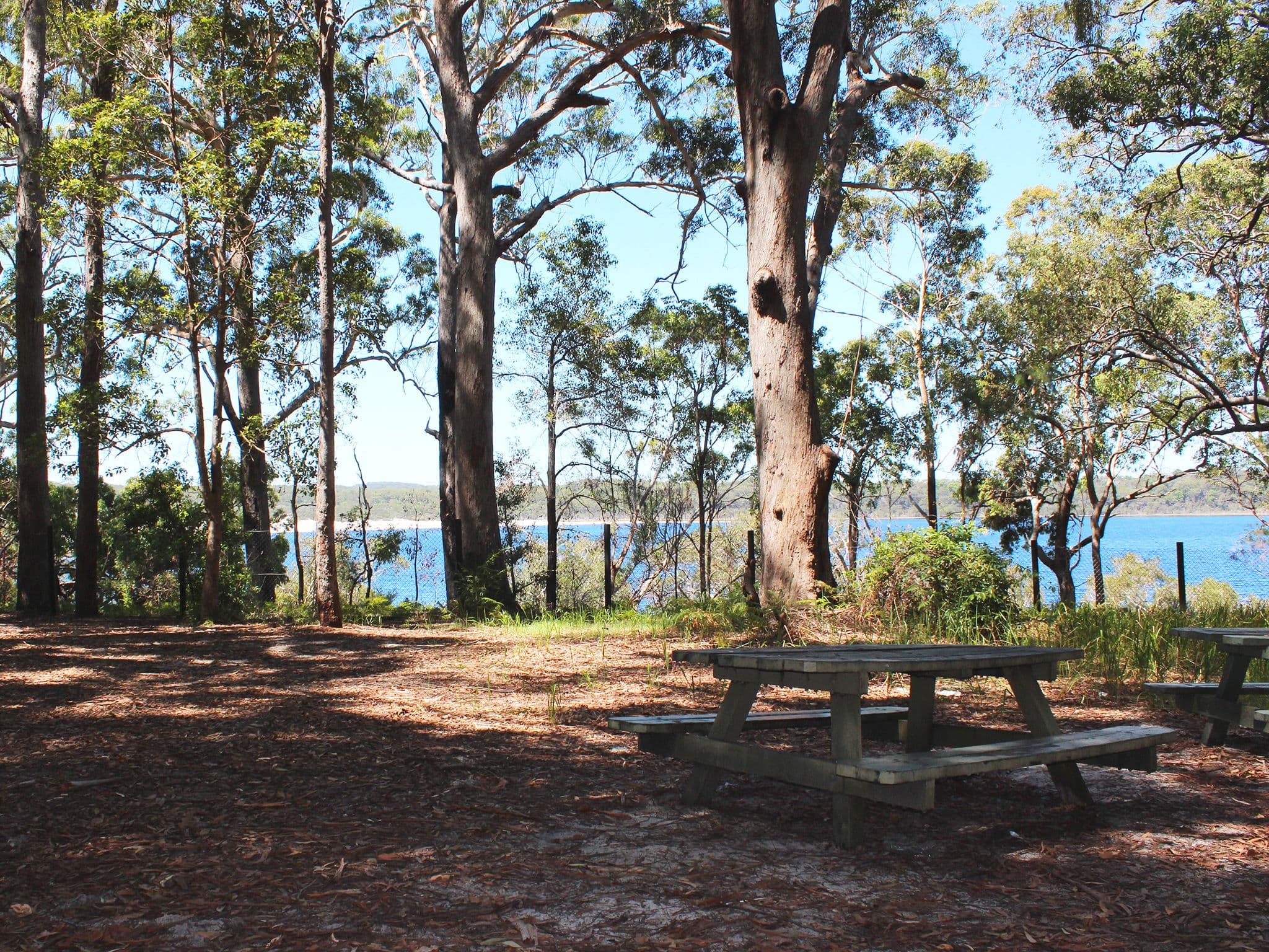 Lake Boomanjin Camping Area on K’gari