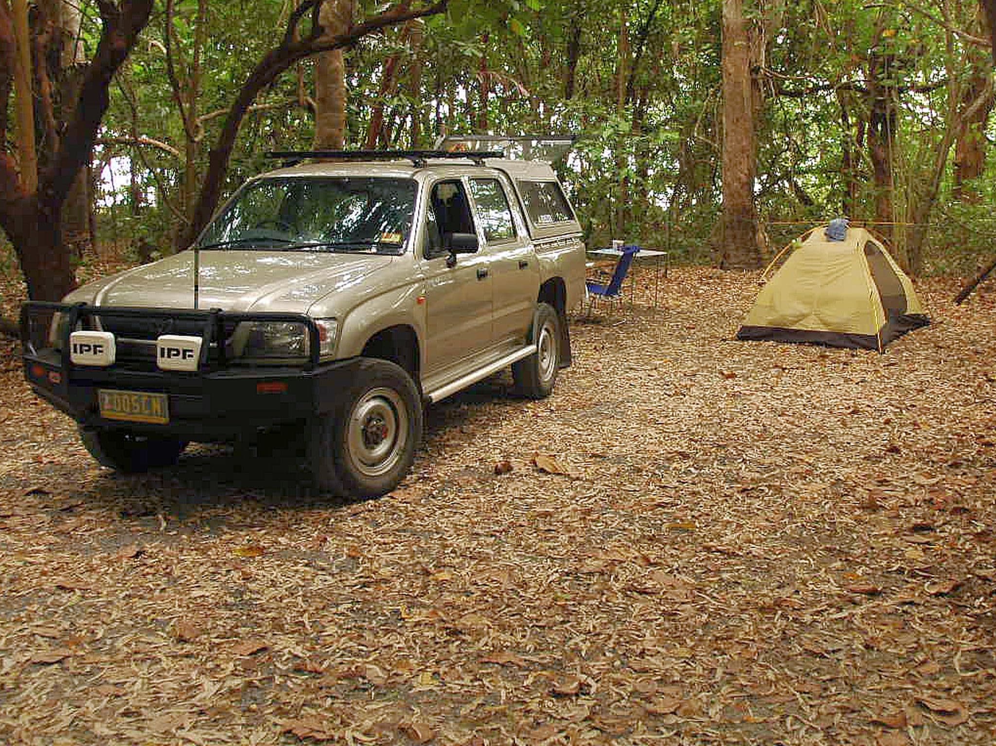 Rainforest campsite at Noah Beach Camping Area