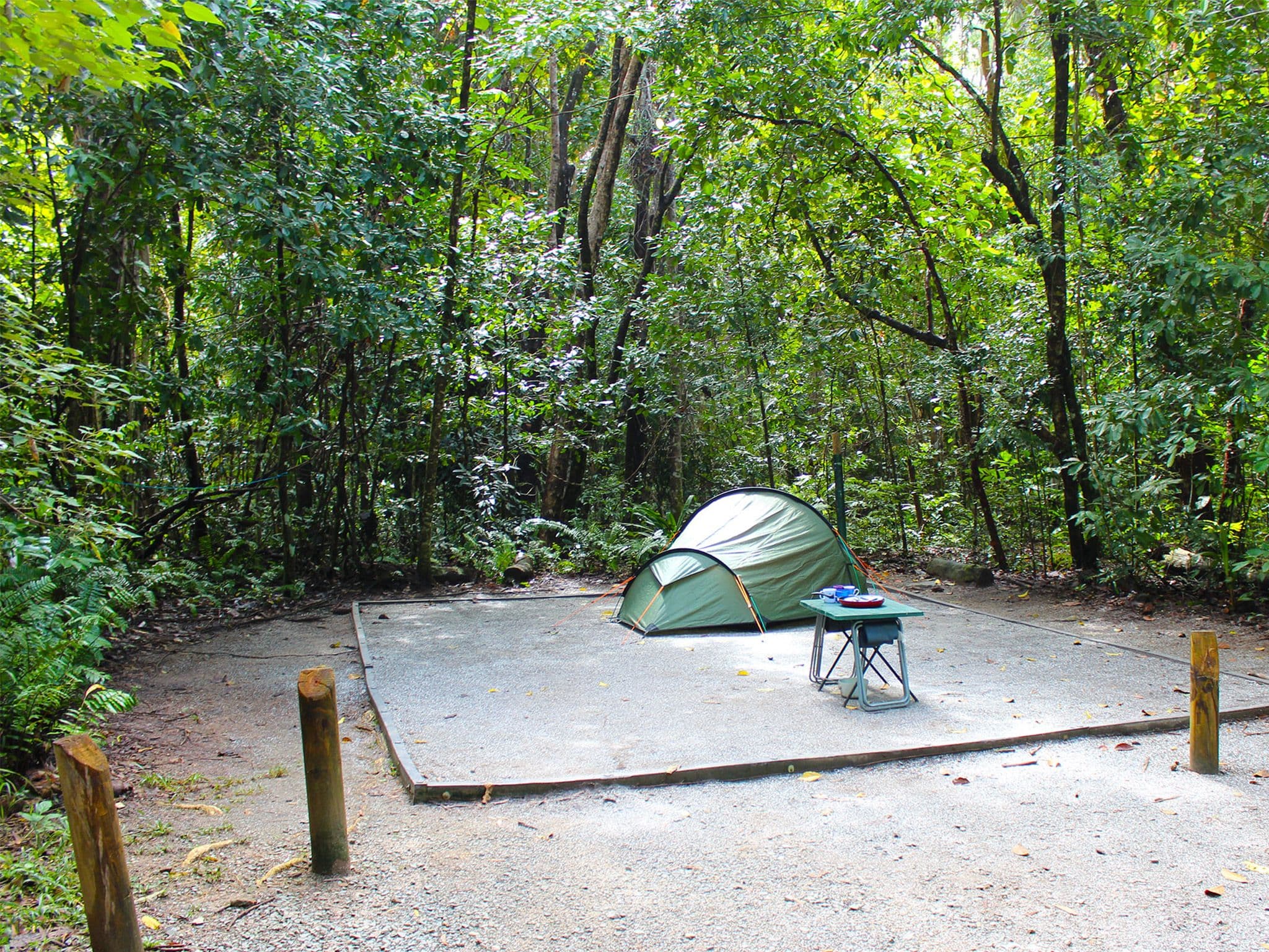 Defined tent pad beneath the rainforest canopy at Noah Beach