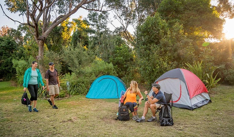 Putty Beach Campground near the ocean