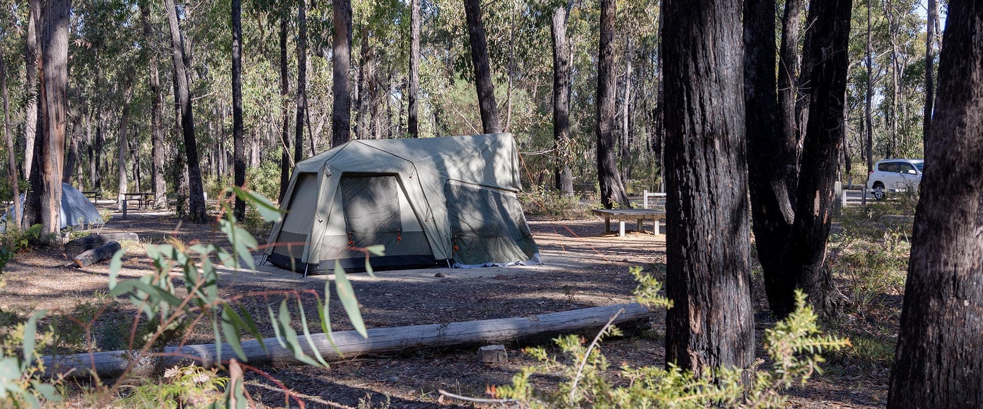 Woodland campsites at Smiths Mill Campground