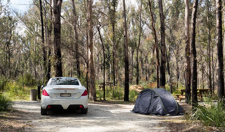 A car parked next to a pitched tent with bush in the background at Bald Rock campground and picnic area. Photo: Leah Pippos © DPIE
