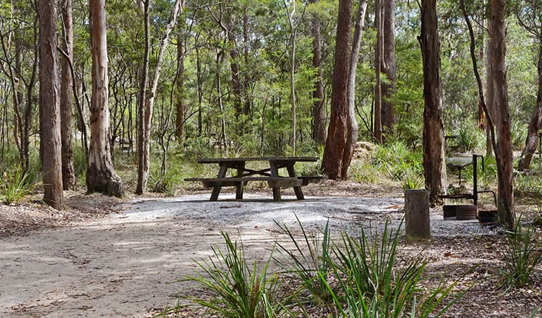 A picnic table and wood barbecue at Bald Rock campground in Bald Rock National Park. Photo: Dirk Richards © Dirk Richards