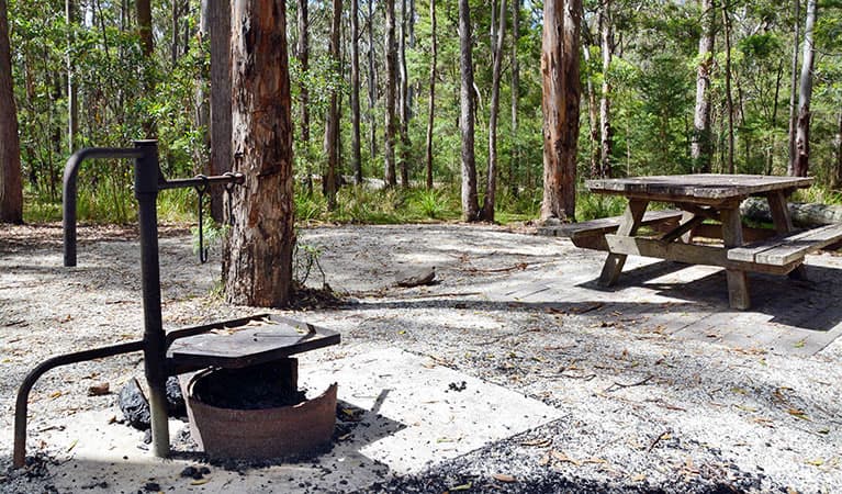 A wood barbecue and picnic table at Bald Rock campground in Bald Rock National Park. Photo: Dirk Richards © Dirk Richards