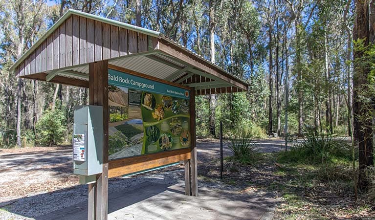Information shelter at Bald Rock campground and picnic area, Bald Rock National Park. Photo: Joshua J Smith © DPE