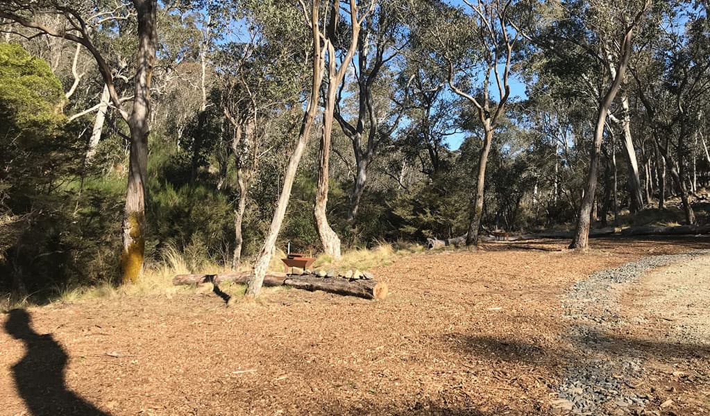 A clearing for a campsite with a small fire pit in Gummi Falls campground, Barrington Tops State Conservation Area. Credit: Richard Bjork © DPE
