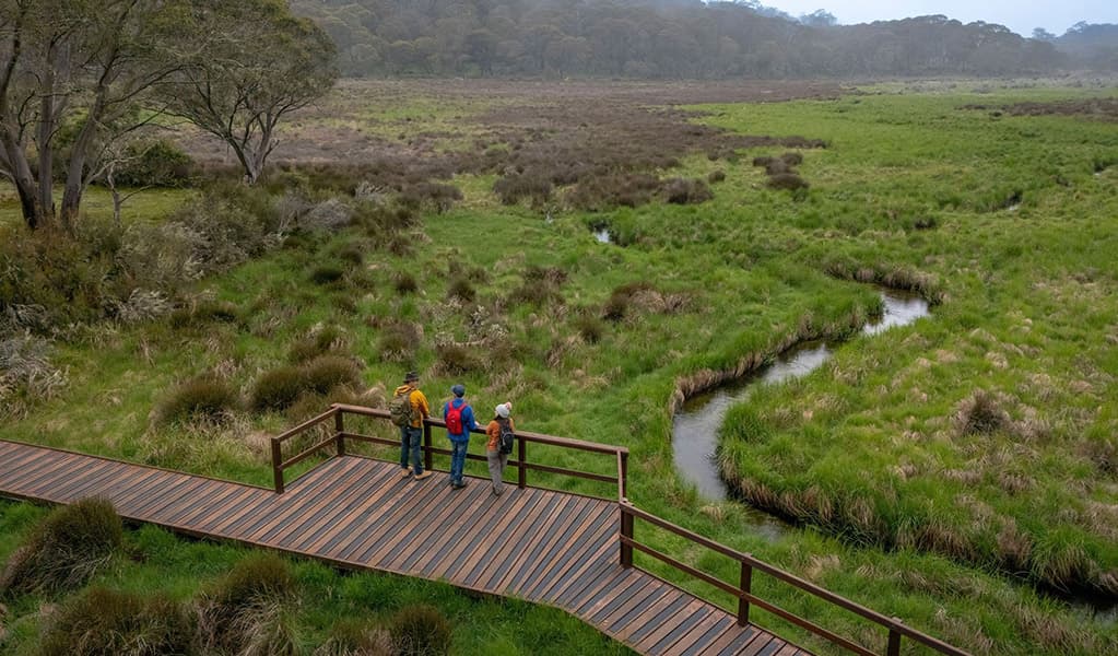 Aerial view of people on a raised boardwalk along Polblue Swamp track. Credit: John Spencer/DCCEEW © DCCEEW