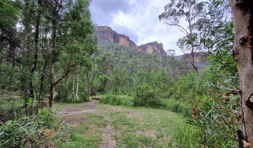 Cliff views in the distance at Burra Korain Flat campground. Photo: David Noble © DEECCW