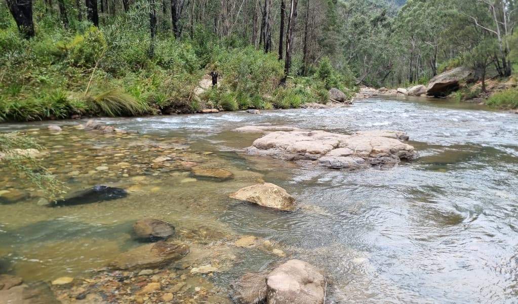 The Grose River near Burra Korain Flat campground. Photo: David Noble © DEECCW