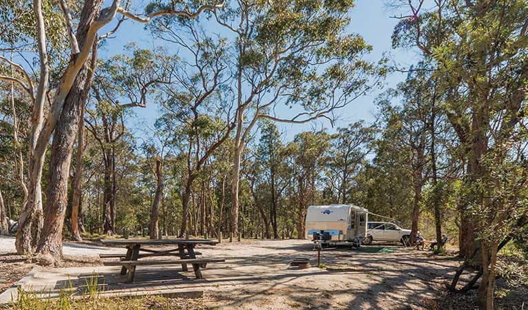 Caravan at Cypress Pine campground in Boonoo Boonoo National Park. Photo: David Young ©: David Young
