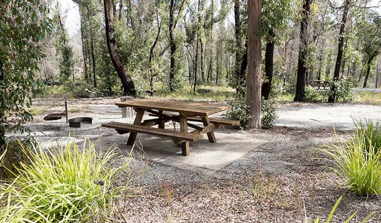 Picnic table at Cypress Pine campground, Boonoo Boonoo National Park. Photo: Leah Pippos ©: DPIE