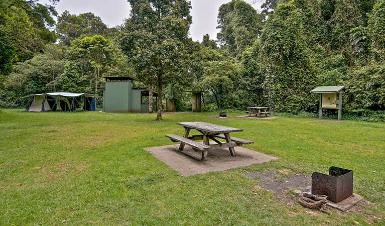 Picnic table and wood campfire facilities at Forest Tops campground, Border Ranges National Park. Photo credit: John Spencer © DPIE