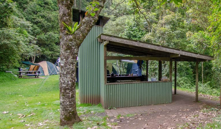 Picnic shelter at Forest Tops campground, Border Ranges National Park. Photo credit: John Spencer © DPIE