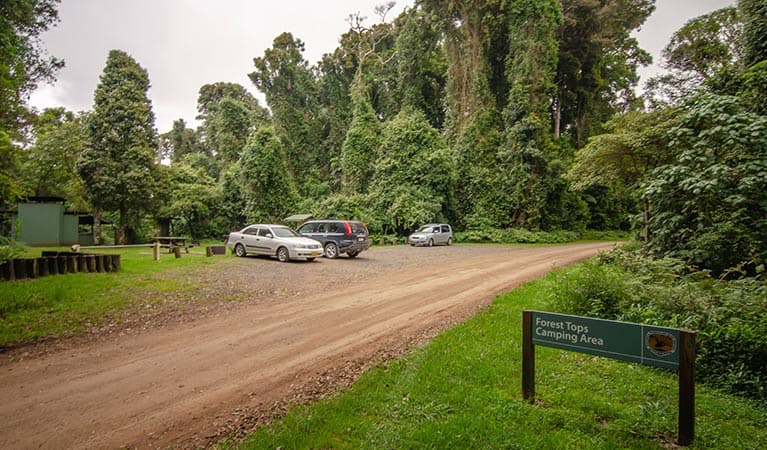 Signage at entry to Forest Tops campground, Border Ranges National Park. Photo credit: John Spencer © DPIE