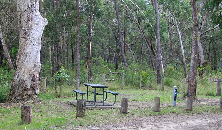 Carrington Falls campground, Budderoo National Park. Photo credit: Chris Keyzer © DPIE