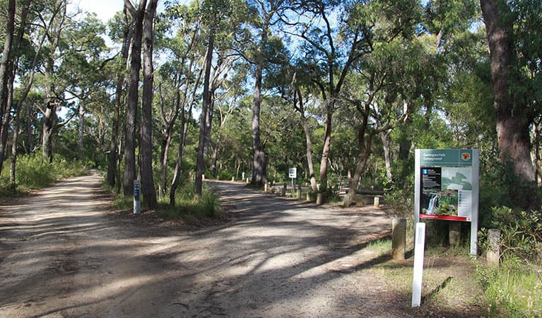 Entrance to Carrington Falls campground, Budderoo National Park. Photo credit: Chris Keyzer © DPIE