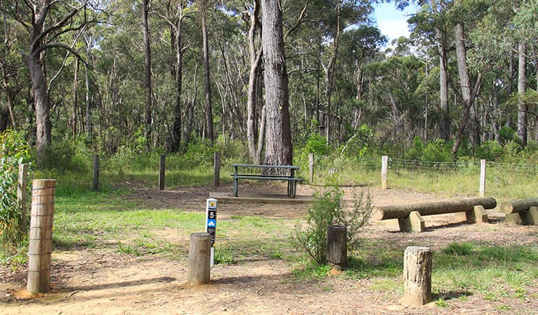 Carrington Falls campground, Budderoo National Park. Photo credit: Chris Keyzer © DPIE