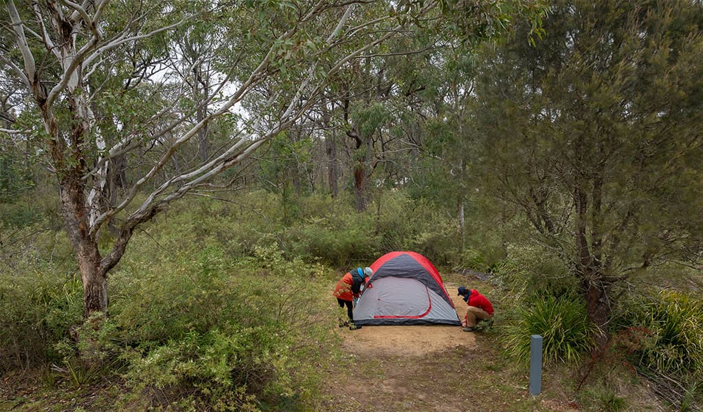 Campers setting up their tent among bushland at Bungonia campground. Photo: John Spencer/DCCEEW © DCCEEW