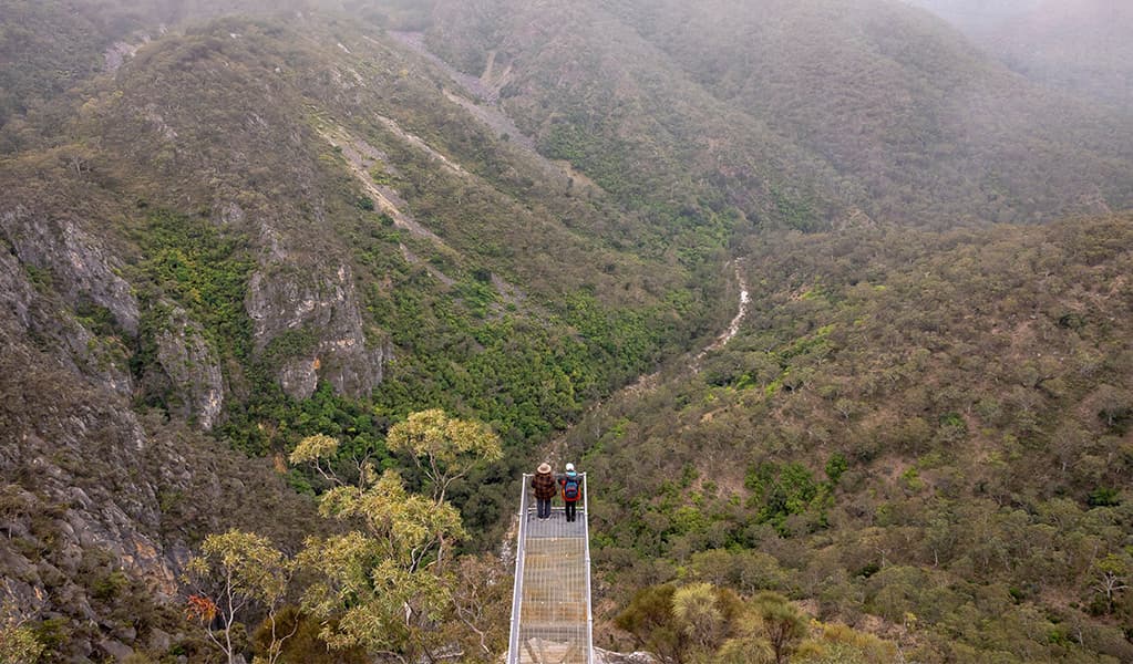 People admiring the views from The Lookdown lookout in Bungonia National Park. Photo: John Spencer/DCCEEW © DCCEEW
