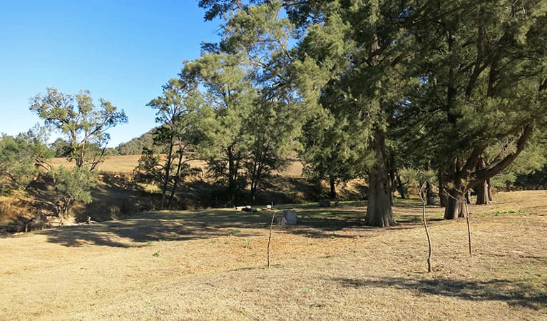 Capertee campground and surrounding countryside next to Capertee River in Capertee National Park. Photo: Jessica Barnie © DPIE