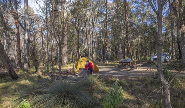 A man tends to the wood barbecue next to his tent at Barokee campground in Cathedral Rock National Park. Photo: Josh Smith © DPE