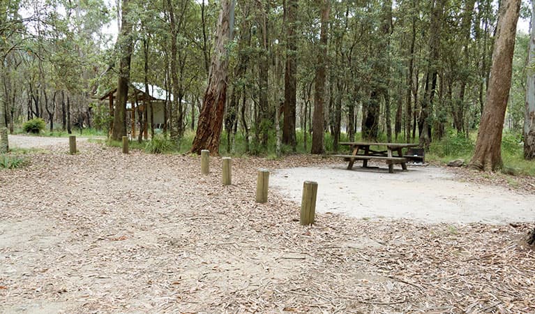 Barokee campground, with picnic table and a shelter in the distance surrounded by trees. Photo: Leah Pippos © DPIE