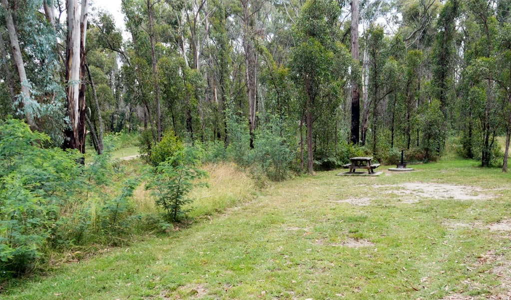 One of the campsites with a picnic table at Native Dog campground, Cathedral Rock National Park. Photo: Leah PIppos, © DCCEEW