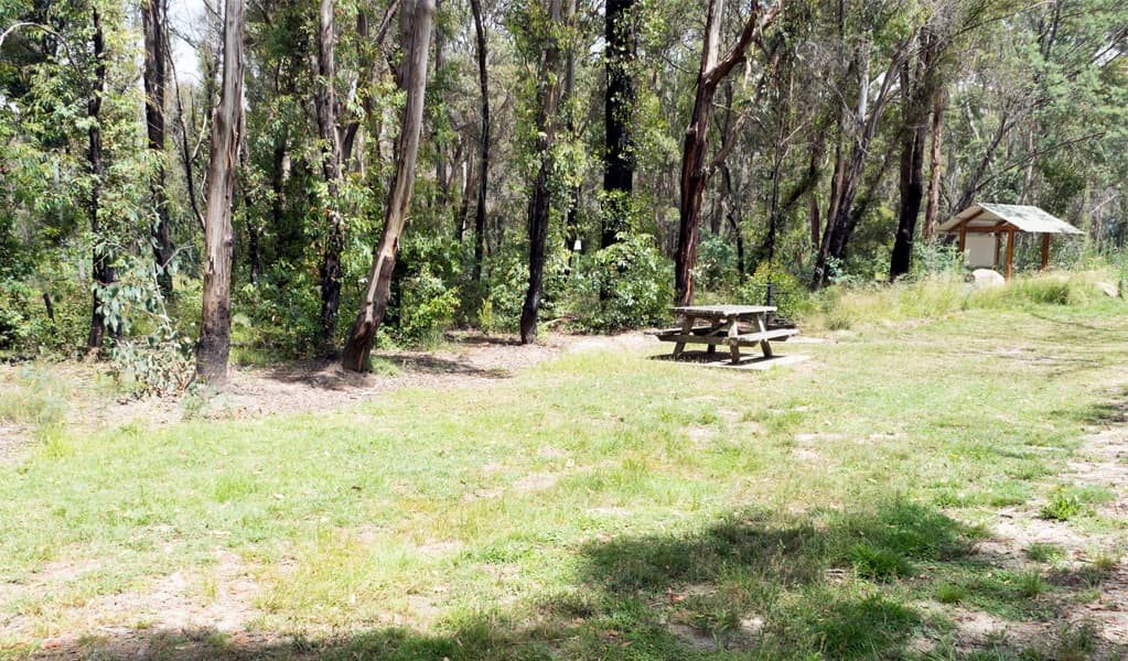 Campsite showing picnic table and signboard, Native Dog campground in Cathedral Rock National Park. Photo: Leah Pippos, © DCCEEW