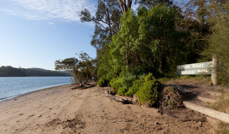 Beach campground daytime, Clyde River National Park. Photo: Lucas Boyd/DPIE