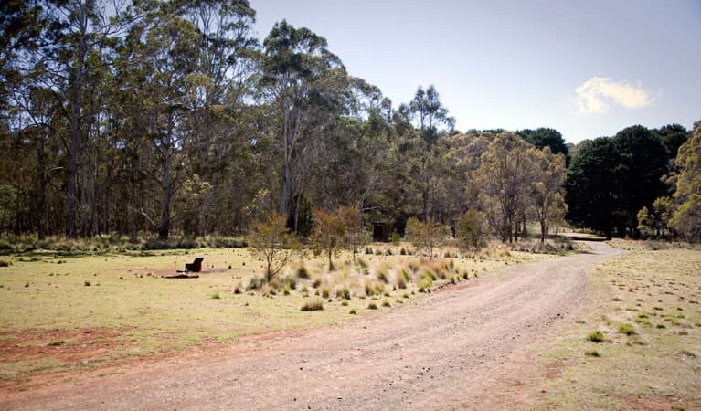 The Pines campground, Coolah Tops National Park. Photo: Nick Cubbin/NSW Government