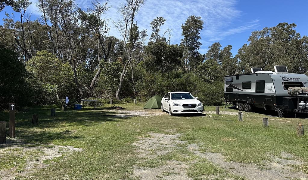 Campsite at Crowdy Gap campground. Credit: © DCCEEW