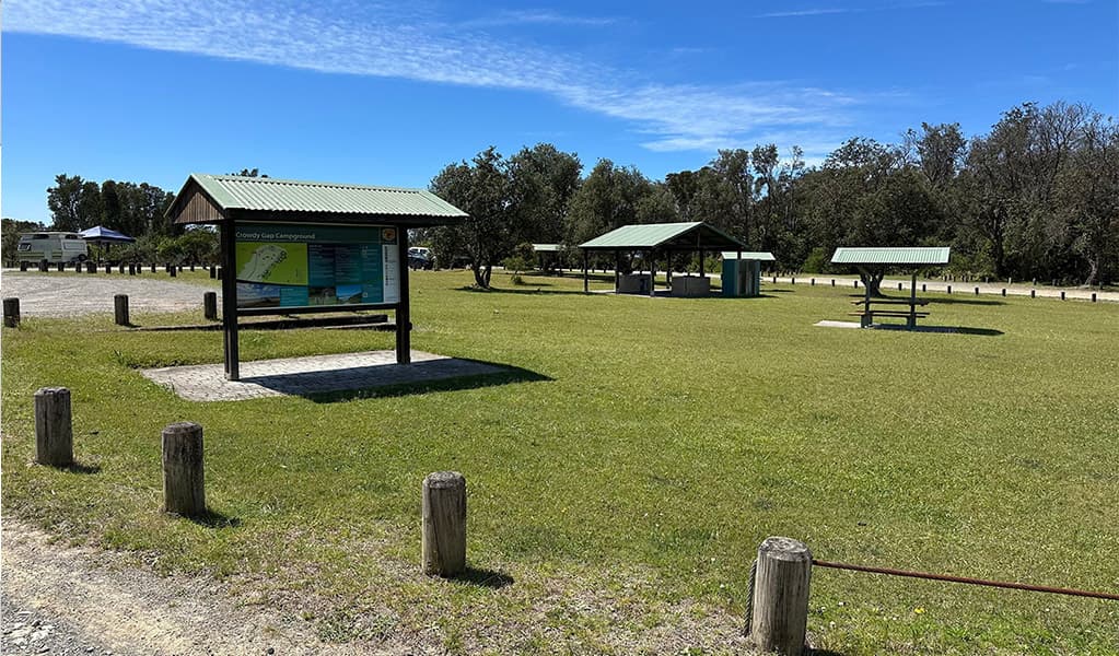 Grassy area and picnic shelters at Crowdy Gap campground. Credit: © DCCEEW