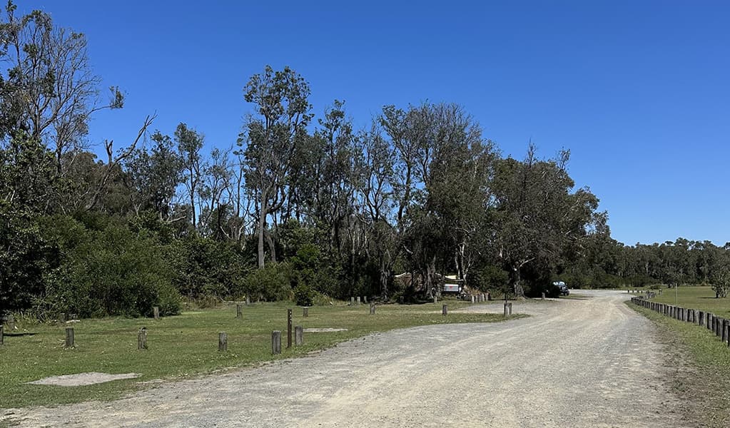 The road leading through Crowdy Gap campground. Credit: © DCCEEW