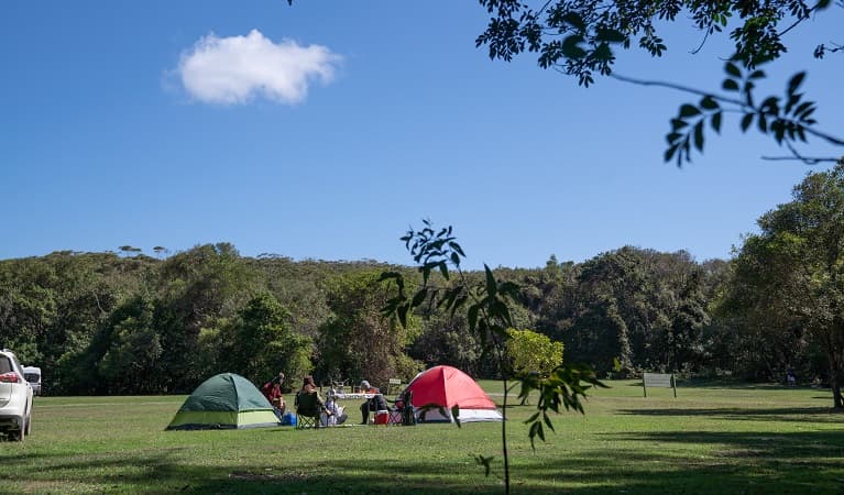 A group of campers sitting around a table at Indian Head campground, Crowdy Bay National Park. Photo: Rob Mulally/DPIE
