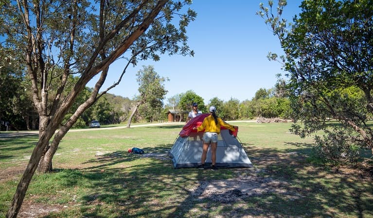 Campers setting up a tent at Kylies Beach campground, Crowdy Bay National Park. Photo: © Rob Mulally