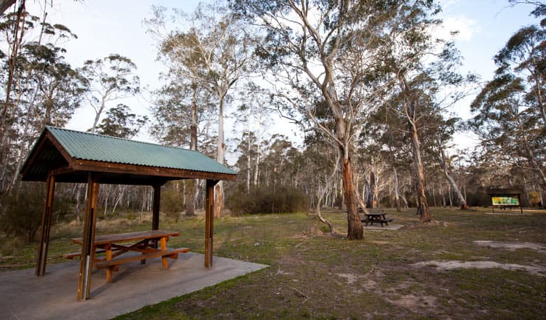Berlang campground shelter, Deua National Park. Photo: Lucas Boyd © OEH