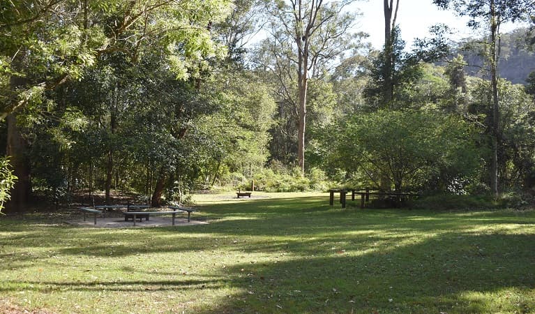 Grassy area at Mill Creek campground. Photo: Sarah Brookes © DPIE