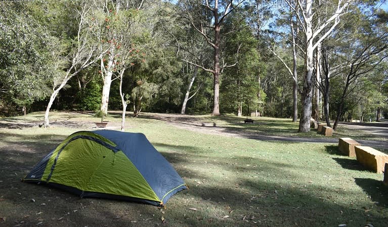 A tent at Mill Creek campground in Dharug National Park. Photo: Sarah Brookes © DPE