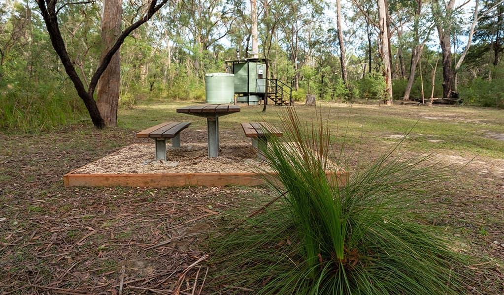 Picnic table at Ten Mile Hollow campground. Photo: Allan Chawner © DCCEEW