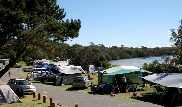 Campers at Congo campground in Eurobodalla National Park. Photo: © Christina Bullivant