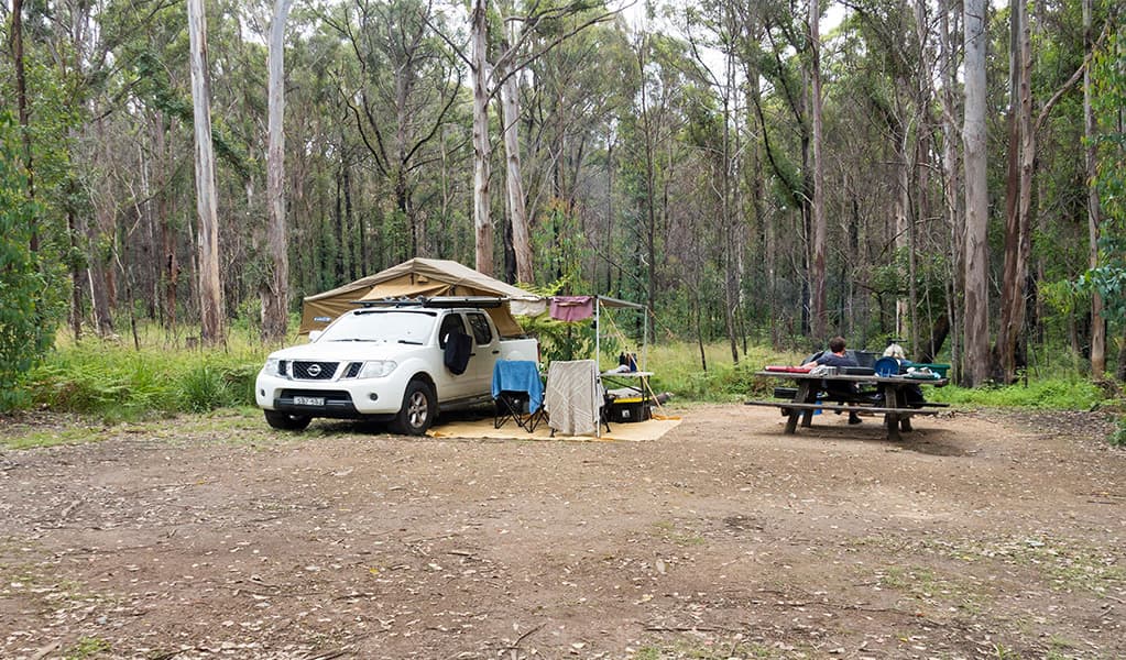 A camper trailer and picnic bench at Boundary Falls campground. Credit: Leah Pippos © DCCEEW